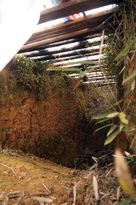 汉代长沙王室古墓被盗 盗墓贼已进入主墓室